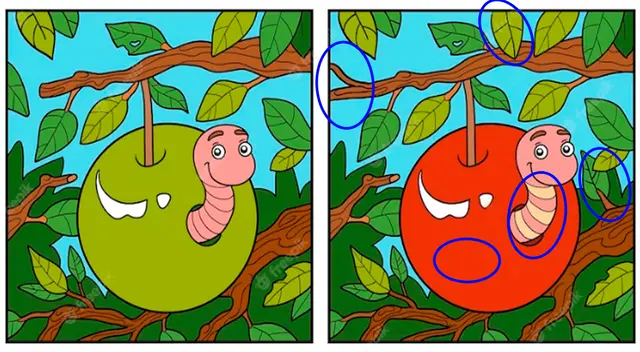 retos visuales