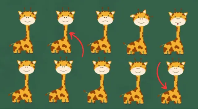 reto visual reto visual