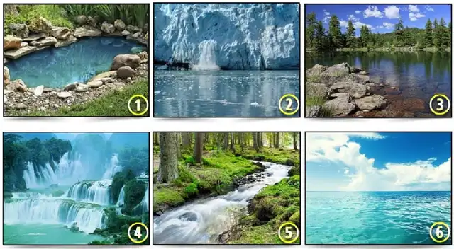 Elige una de estas y conoce si eres o no una persona independiente Elige una de estas y conoce si eres o no una persona independiente