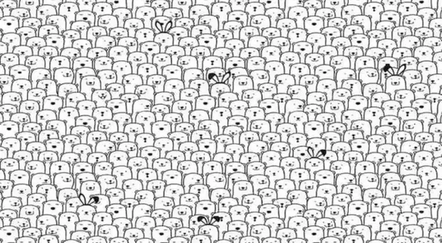 Solo las mentes brillantes encontrarán al perro en menos de 10 segundos