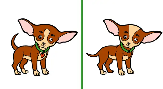 Saca a relucir lo mejor de ti y supera este reto visual en solo 8 segundos.