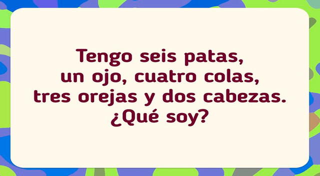 acertijo visual 