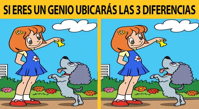 Si tienes una buena visión encontrarás las diferencias del reto en cuestión de pocos segundos.