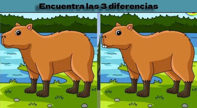 Reto visual para mentes brillantes; tienes pocos segundos