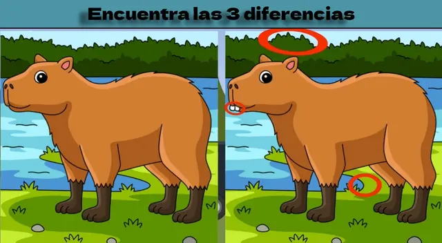 Reto visual