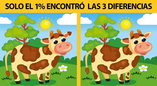 Solo tienes una oportunidad para desarrollar este nuevo reto visual. Solo tienes una oportunidad para desarrollar este nuevo reto visual.