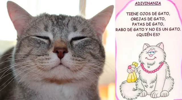 ¿Crees que esta adivinanza es algo simple? Estás en un terrible error.