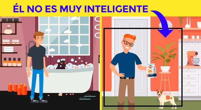 acertijo visual acertijo visual