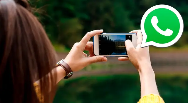 Mejora la calidad de tus fotos que envías a través de WhatsApp con sencillos pasos.