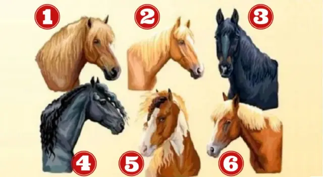 Elige uno de los caballos y descubre si eres un líder nato