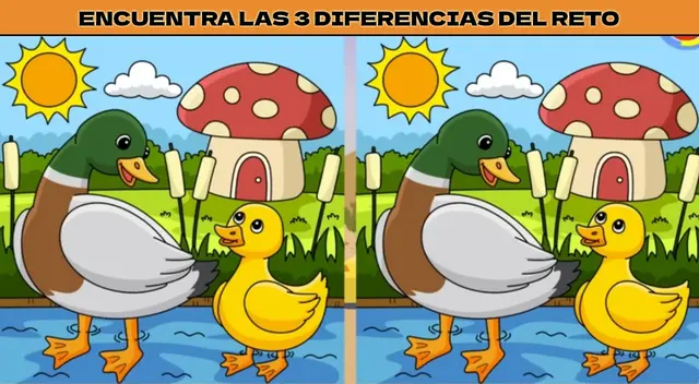Reto visual para mentes SUPREMAS: tienes pocos segundos Reto visual para mentes SUPREMAS: tienes pocos segundos