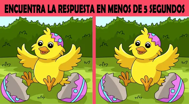 Anímate a desarrollar este reto visual y demuestra que tienes buena memoria.