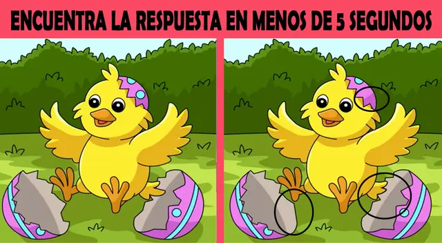 reto visual
