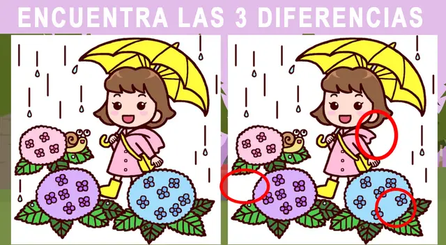 Reto visual