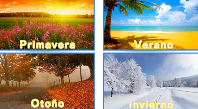 Solo tienes una oportunidad para desarrollar el test de personalidad.