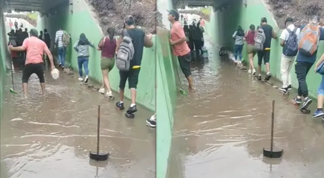 Peruano sorprende a usuarios de TikTok con ingeniosa obr Peruano sorprende a usuarios de TikTok con ingeniosa obr