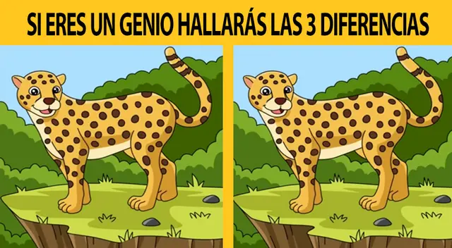 Demuestra que eres un 'crack' y supera este reto visual en el primer intento.