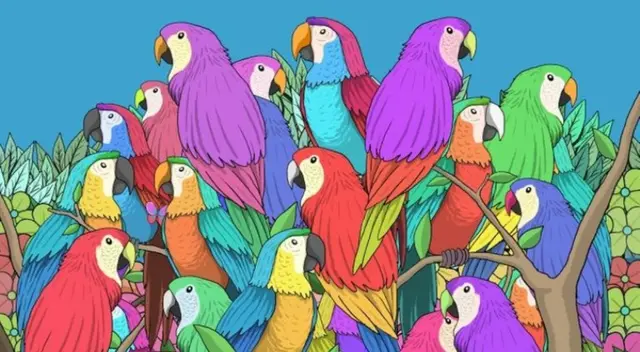 Reto visual que solo el 2% de personas logró superar y hallar la mariposa