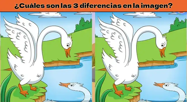 Reto visual solo para mentes BRILLANTES: tienes 8 segundos