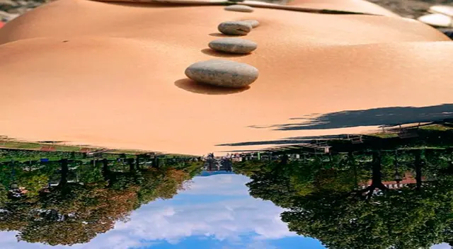 Lo primero que veas definirá el tipo de persona que eres.