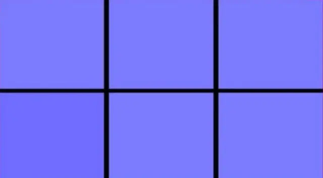 Reto visual que solo una vista privilegiada puede superar