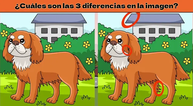 Reto visual