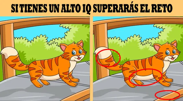 reto visual reto visual