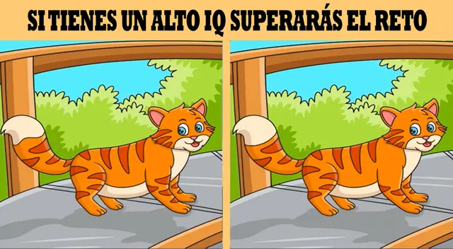No te des por vencido en el primer intento y desarrolla este reto mental en tiempo récord. No te des por vencido en el primer intento y desarrolla este reto mental en tiempo récord.