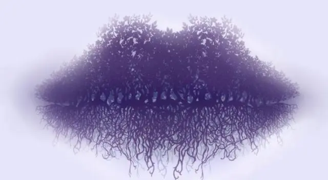 ¿Qué figura captaste en primera instancia? Tu elección revelará datos interesantes sobre ti. ¿Qué figura captaste en primera instancia? Tu elección revelará datos interesantes sobre ti.