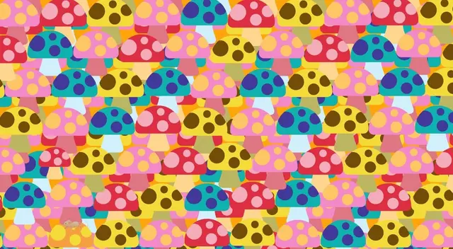 Reto visual para mentes BRILLANTES