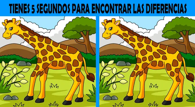 Activa todos tus sentidos y desarrolla en poco tiempo este reto visual.