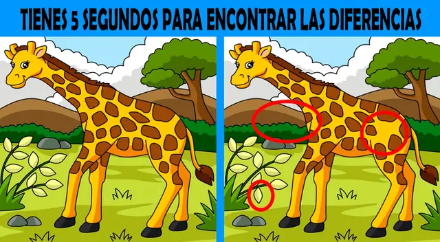 reto visual