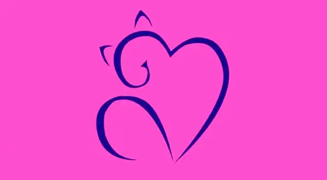 ¿Corazón o gato? Lo primero que veas en este test visual, te revelará la verdad de tu personalidad.
