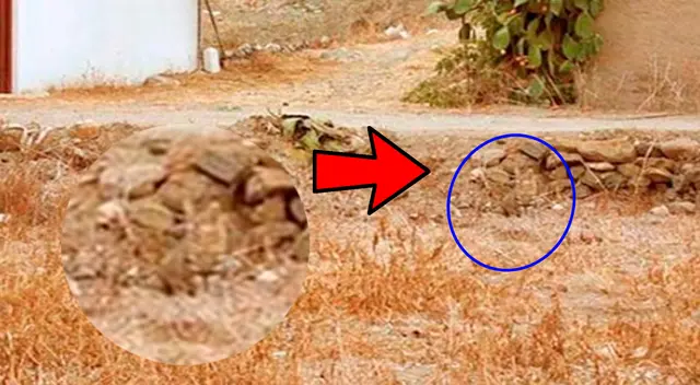 reto visual reto visual