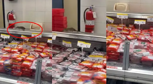 Descubre a rata en supermercado y la exponen desatando controversia en redes Descubre a rata en supermercado y la exponen desatando controversia en redes