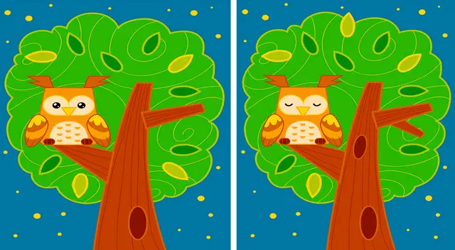 ¿Serás capaz de superar este reto visual en el primer intento y en pocos segundos?