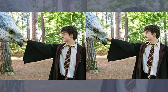 Encuentra las diferencias en esta imagen de Harry Potter en segundos.