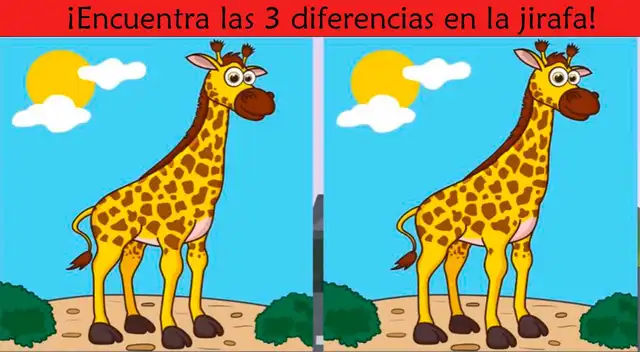 Pon a prueba cada una de tus habilidades intentando superar este reto.