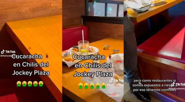 La presencia del insecto en el restaurante abrió debate en las redes sociales.