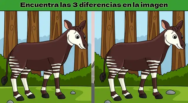 Reto visual para mentes prodigiosas: tienes 8 segundos para lograrlo