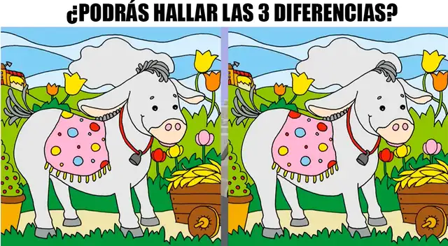 Intenta superar este complicado reto en solo 7 segundos.