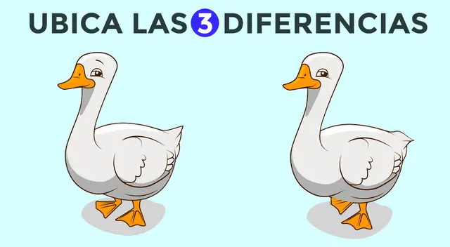 Desafía tu mente y logra encontrar todas las diferencias en cuestión de pocos segundos.