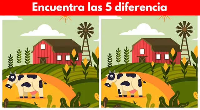 Reto visual nivel EXPERTO