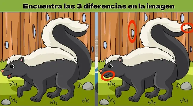 Reto visual