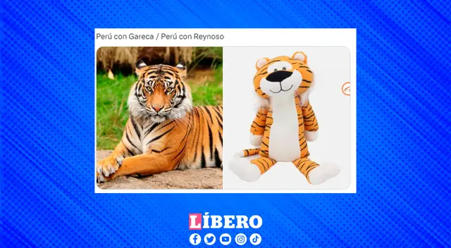 Los hinchas no tuvieron piedad tras la derrota peruana y crearon singulares memes. Los hinchas no tuvieron piedad tras la derrota peruana y crearon singulares memes.