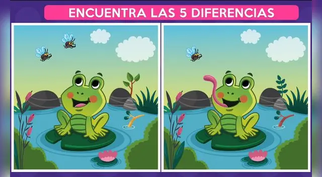 Pon a prueba tus habilidades con este reto visual