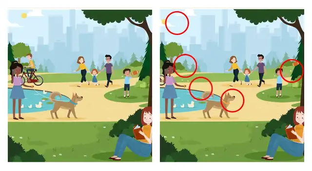 Reto visual Reto visual