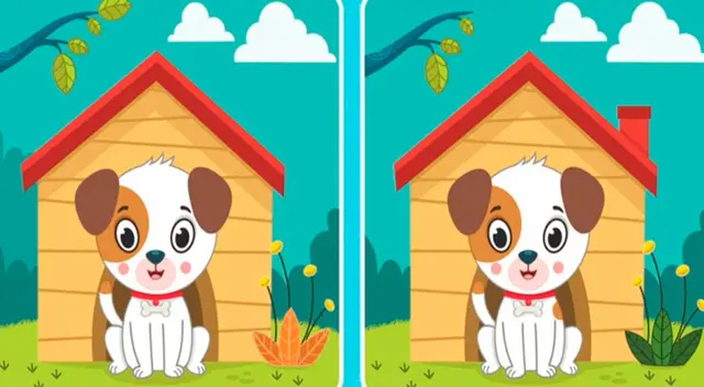 Mira con atención a los detalles que aparecen en el reto visual y encuentra las respuestas en segundos. Mira con atención a los detalles que aparecen en el reto visual y encuentra las respuestas en segundos.