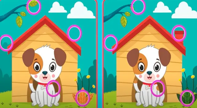 solución reto visual solución reto visual