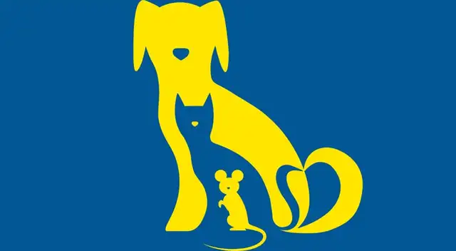 Si deseas conocer más secretos de ti mismo, entonces supera el siguiente test de personalidad